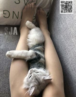 一级黄色软件
